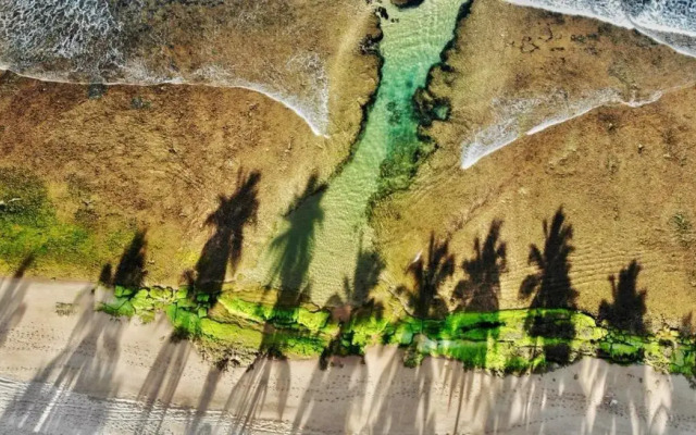 Praia do Forte Apartamento Fantástico