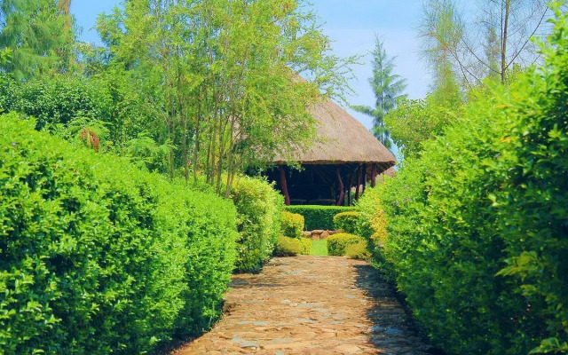 Nguge Hills Lodge & Wellness Retreat