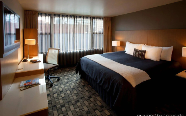 Staypineapple, Hotel Rose, Downtown Portland