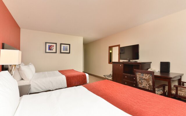 Comfort Inn & Suites Airport South