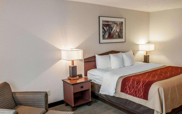Comfort Inn Indianapolis South I-65