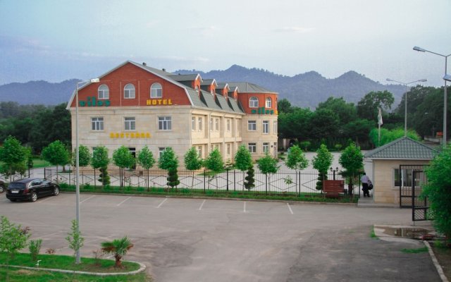 Отель Vilesh Palace