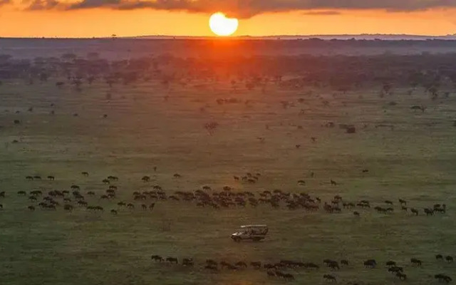 Simba & Oryx Nature Camp