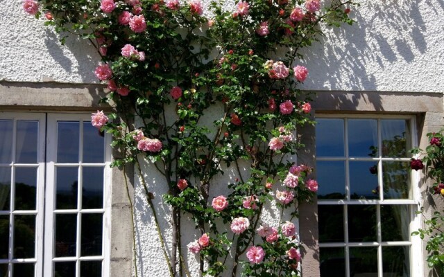 Bowden House B&B
