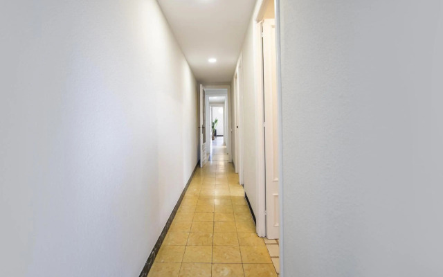 63PAR275- Sunny apartment in Paralel