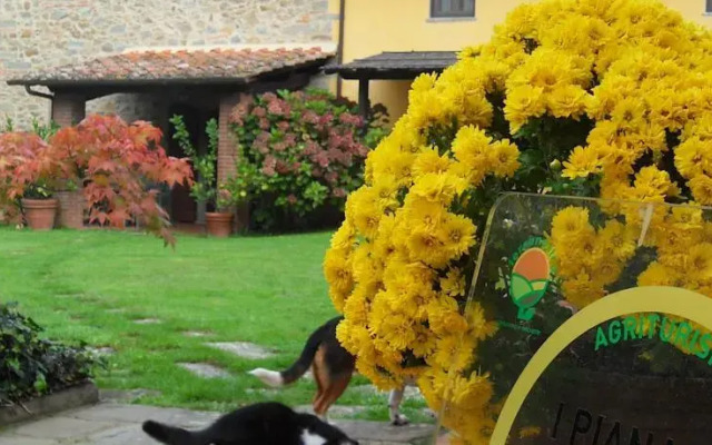 Agriturismo i Pianacci