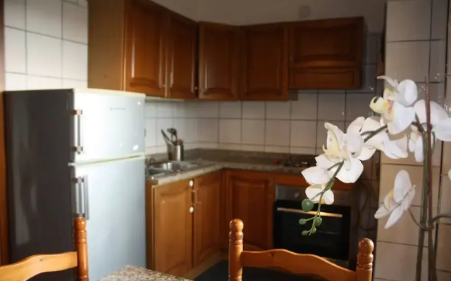 Apiro 11 Apartment