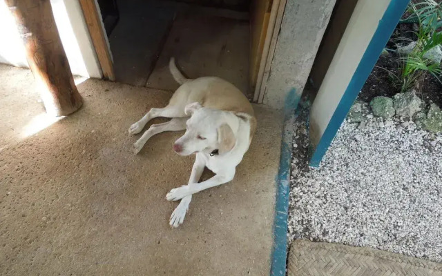 ContainME Eco Chic Hotel