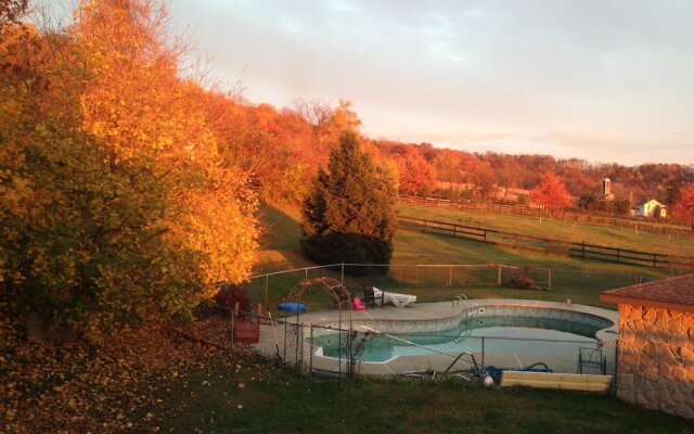 The Dragonfly Bed and Breakfast