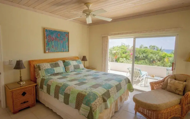 Flipper'S Haven: Tropical Retreat