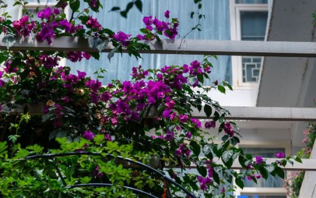 Dali Manglietia Soft Boutique Residence – Exterior – Dali