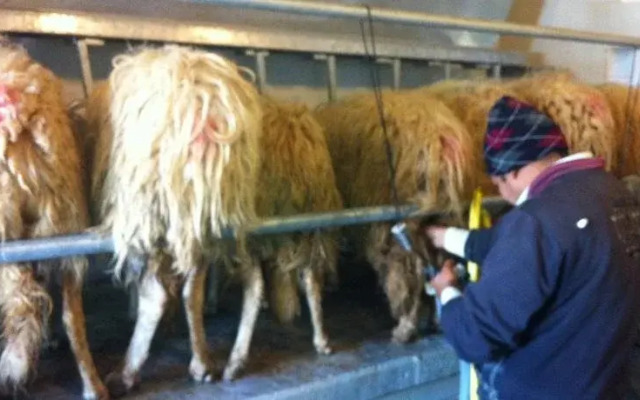 Casina Murgecchia Fano