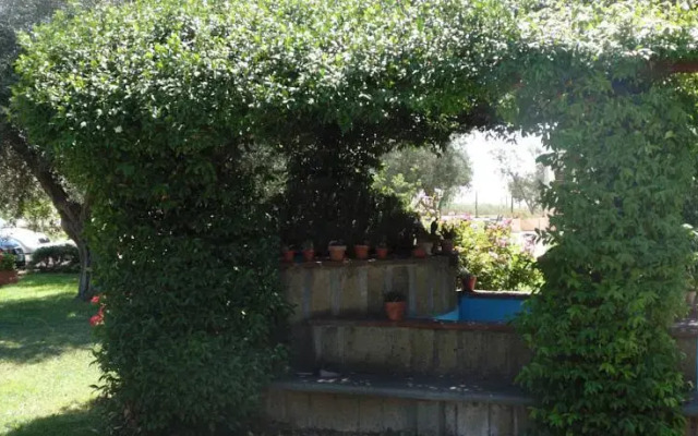 Il Borgo Degli Ulivi