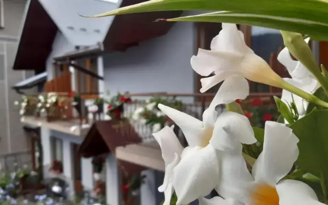 Pokoje do Wynajęcia u Lusi