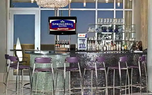 SpringHill Suites Philadelphia Airport Ridley Park