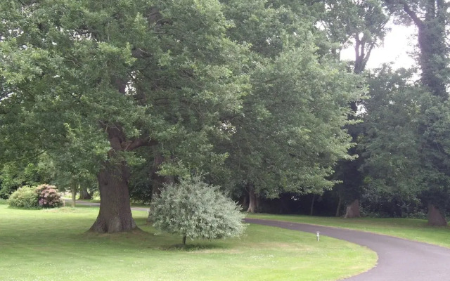 Chatton Park House B&B