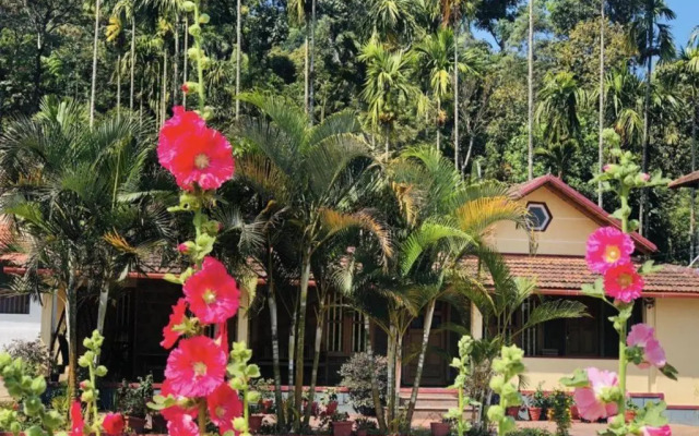 Hallibailu Homestay
