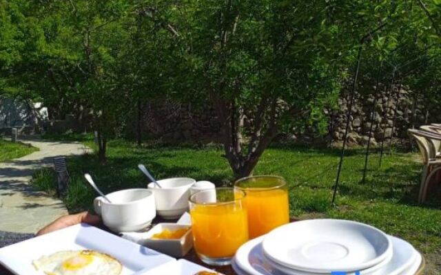 Grapes Garden Resort Hunza