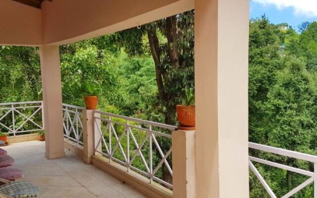 Seclude Arthouse - Uttarakhand