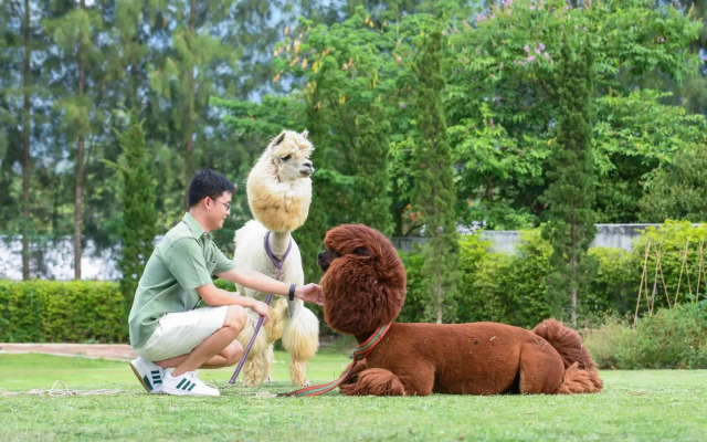 dusitD2 Khao Yai