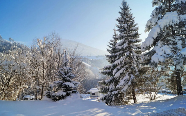 Gasthof zum Schupfen