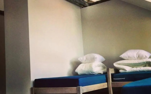 Wicked Weasel Hostel