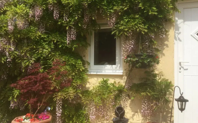 Pen-y-Bont Guest House