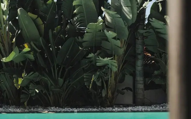 Casa Cuatro Boutique Hotel - Adults Recommended