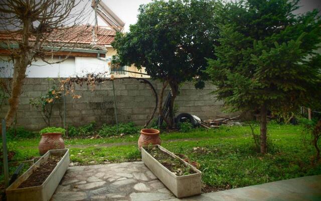 Adam's House