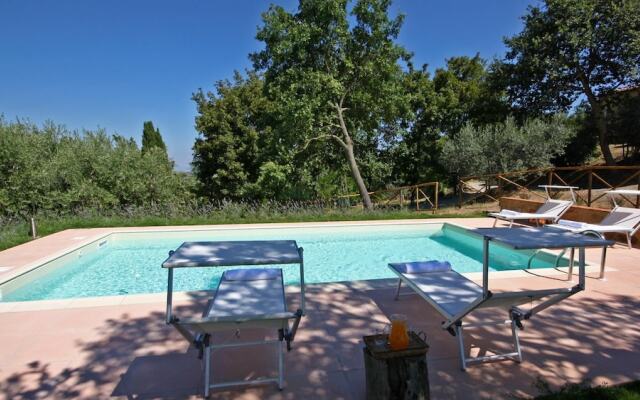 Monterzi 4 in San Giovanni d Asso