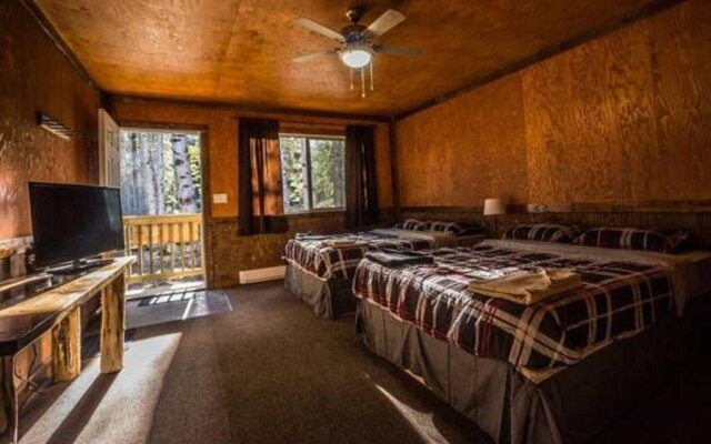 Mountain View Cabins