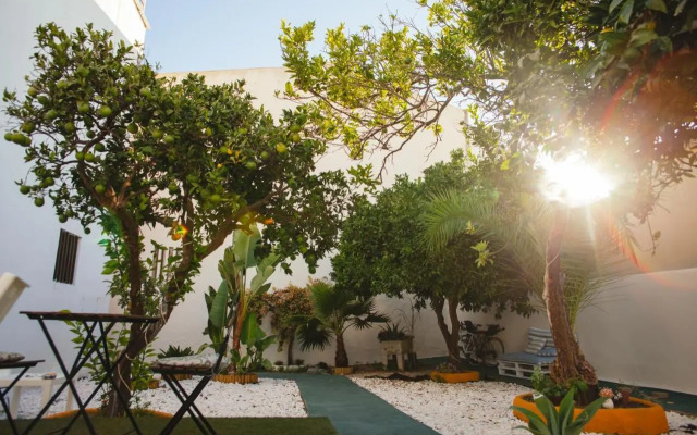 Orange 3 Hostel
