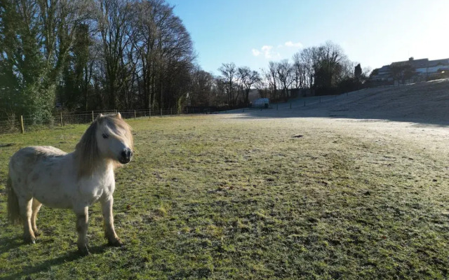 Lydvale Lodge in Lifton