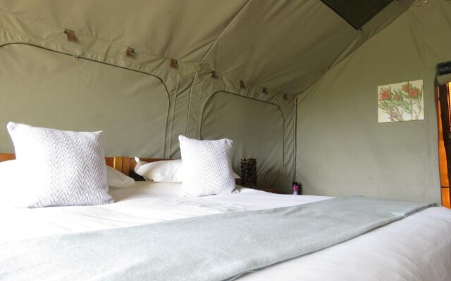 Woodbury Tented Camp - Amakhala Game Reserve