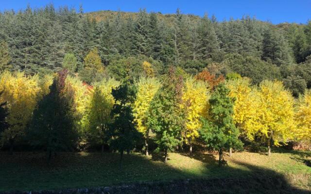 Le Moulin de Bouzigue