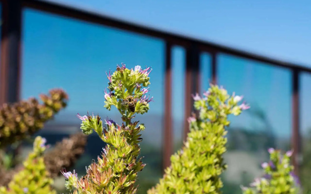 Park Inn by Radisson Los Olivos de Vallenar