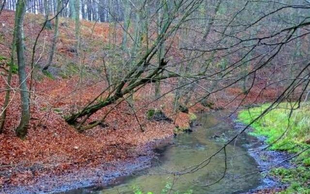 Bukowa Przystań Barlinek