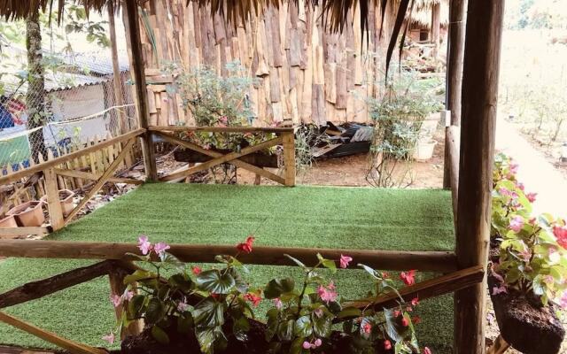 Homestay Vuon Hong Co