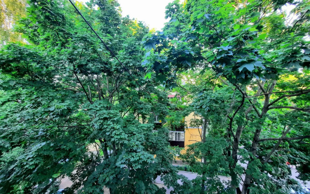 CheckInn on Radishchev Street