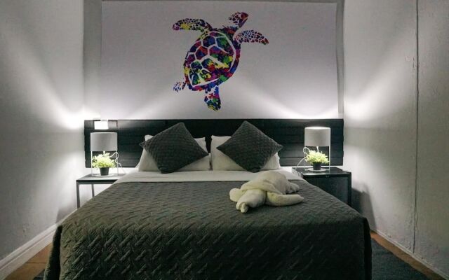 Turtle Saving Hostel