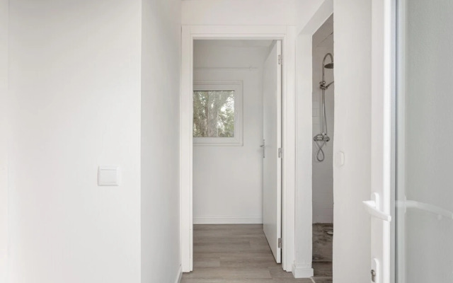 Pinhal da Praia em Melides