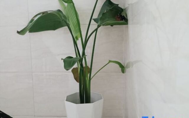 Tongle Yaolin,21 Boutigue Home Stay