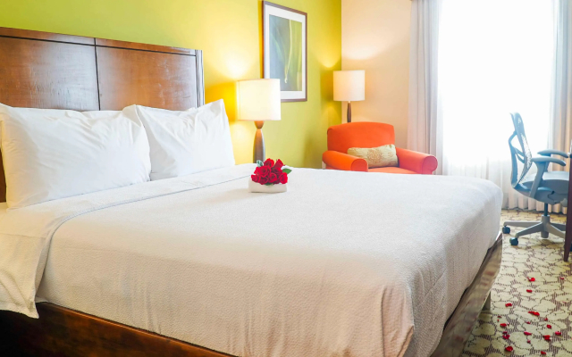 Hilton Garden Inn Panama City Downtown, Panama