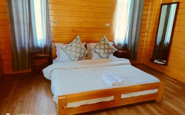 The FrozenFall Resort - Gulmarg