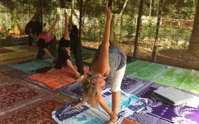 Deepanjali Wellness and Retreat