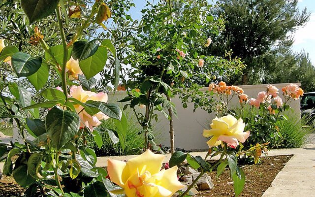 Apartment Maslina Paros 29311