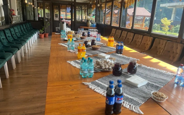 Cabana Sura Getilor Arinis