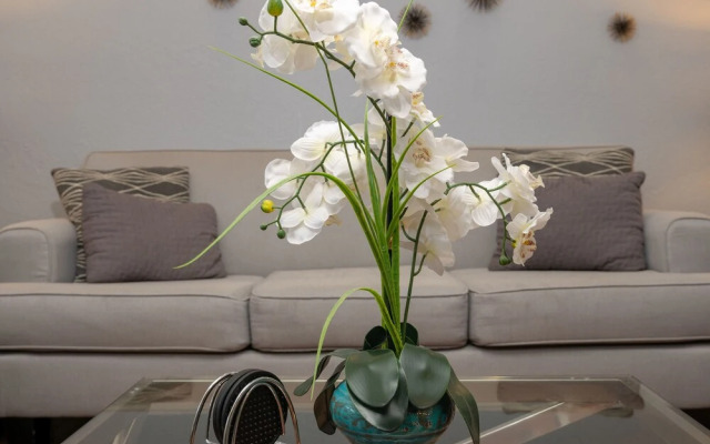 Scottsdale 4BD Modern Home w/ Sparkling Pool!