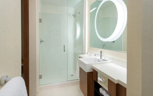 SpringHill Suites Los Angeles Burbank/Downtown