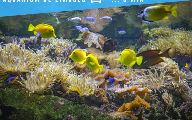 Secteur Gare Bénédictins : T2 cosy Hyper Centre